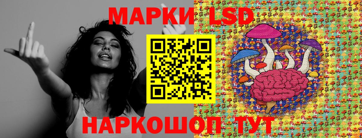 Марки N-bome 1,8мг  Марки N-bome 1,8мг  Клин  Вход с VPN 