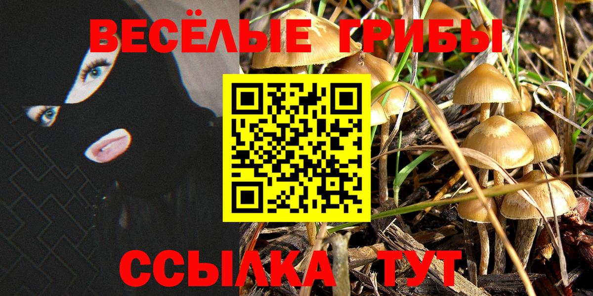хочу наркоту  Вход с VPN  Клин  Псилоцибиновые грибы Psilocybe 